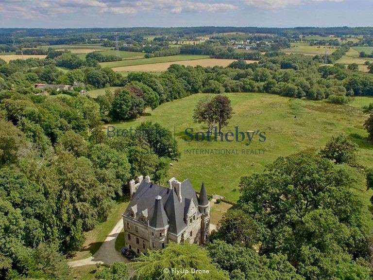 Castle Plaudren - 15 bedrooms - 900m²