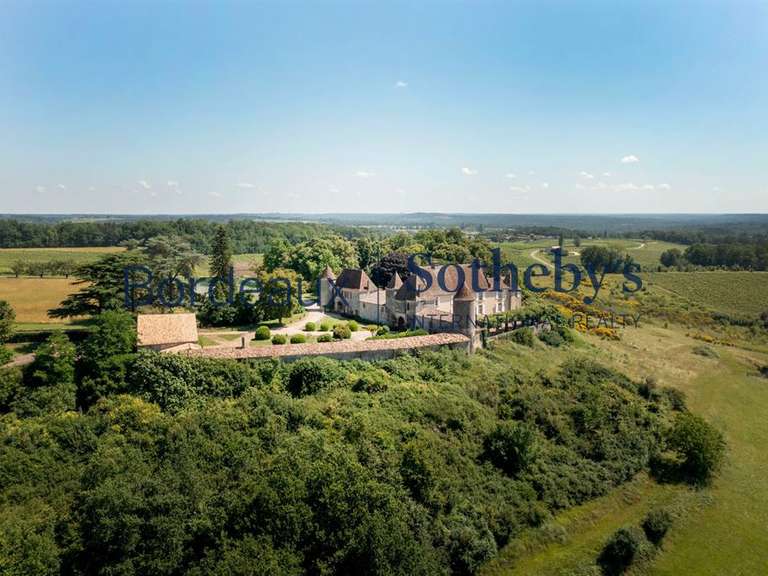 Castle Bordeaux - 800m²