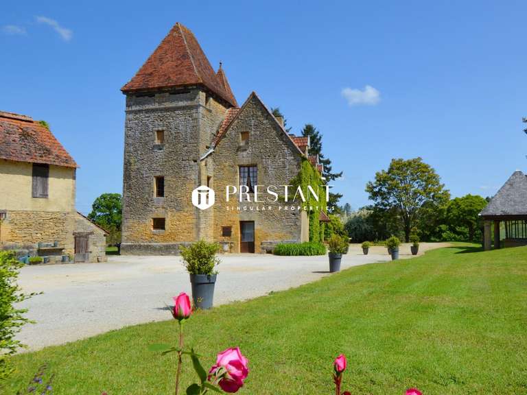 House Sarlat-la-Canéda - 10 bedrooms - 540m²