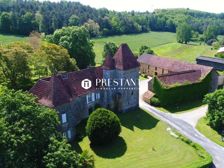 House Sarlat-la-Canéda - 10 bedrooms - 540m²