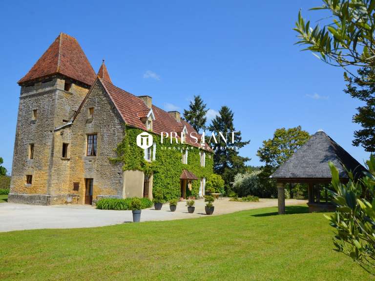 House Sarlat-la-Canéda - 10 bedrooms - 540m²
