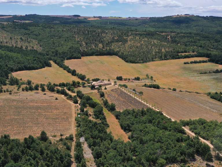 Maison Sault - 7 chambres - 443m²