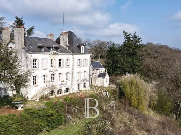 Castle Saint-Gaultier - 7 bedrooms
