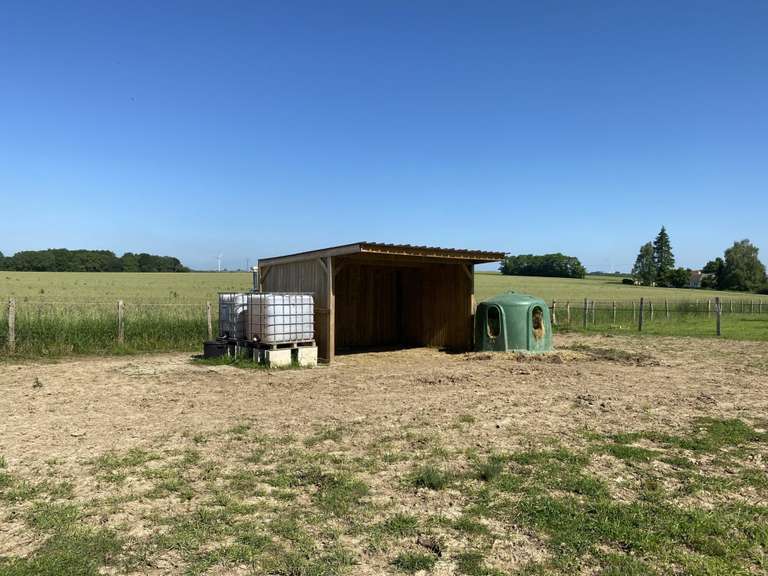 Maison Torcy-en-Valois - 400m²