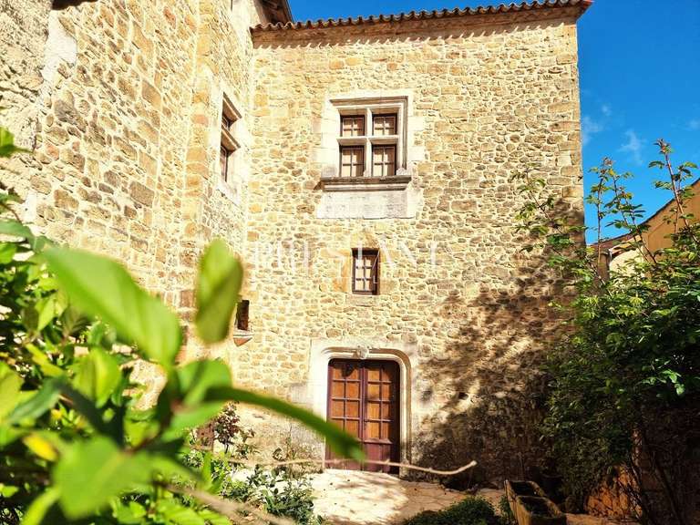 Hôtel particulier Saint-Cyprien - 5 chambres - 400m²