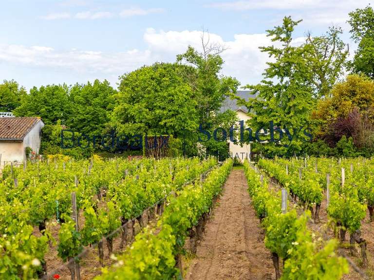 Domaine viticole Bordeaux - 230m²