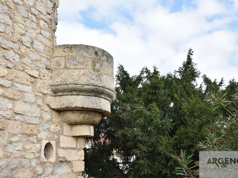 Castle Villeneuve-lès-Maguelone - 7 bedrooms - 600m²