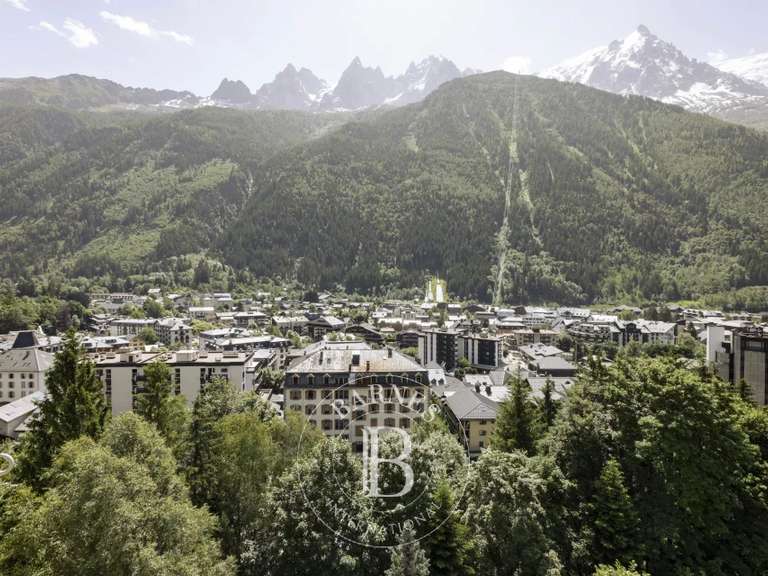 Appartement Chamonix-Mont-Blanc - 2 chambres - 54m²
