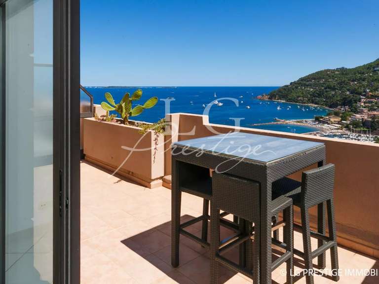 Appartement Théoule-sur-Mer - 1 chambre - 50m²