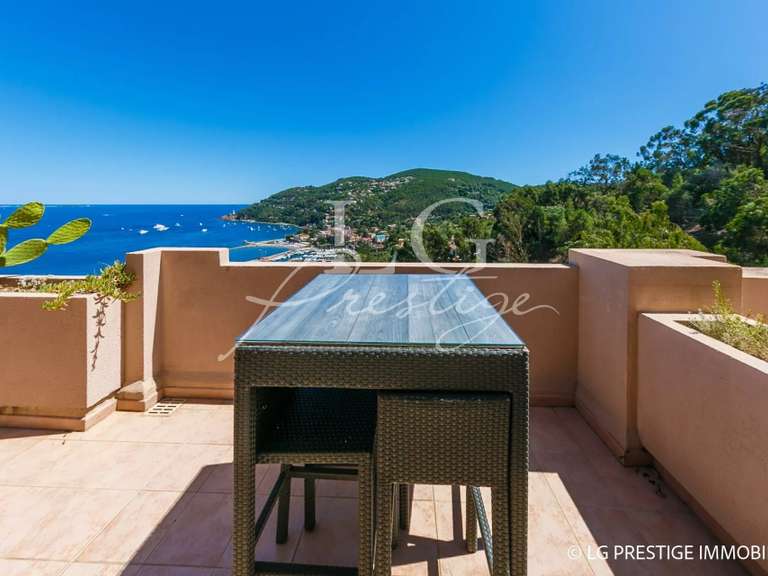 Appartement Théoule-sur-Mer - 1 chambre - 50m²