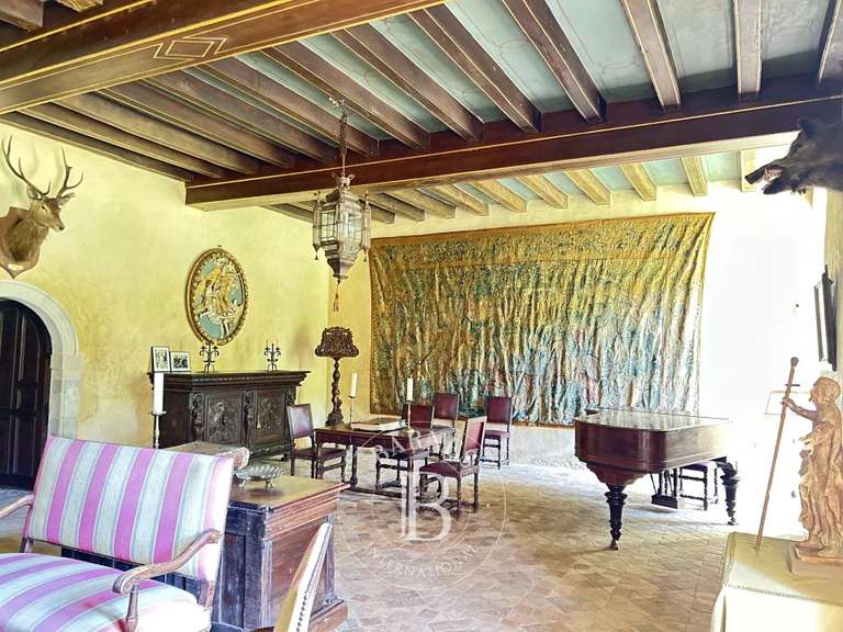 Château Chazé-sur-Argos - 15 chambres - 1100m²