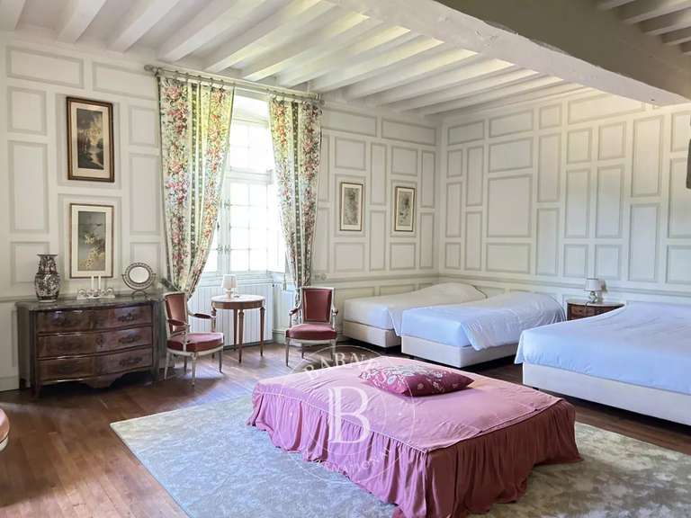 Château Chazé-sur-Argos - 15 chambres - 1100m²