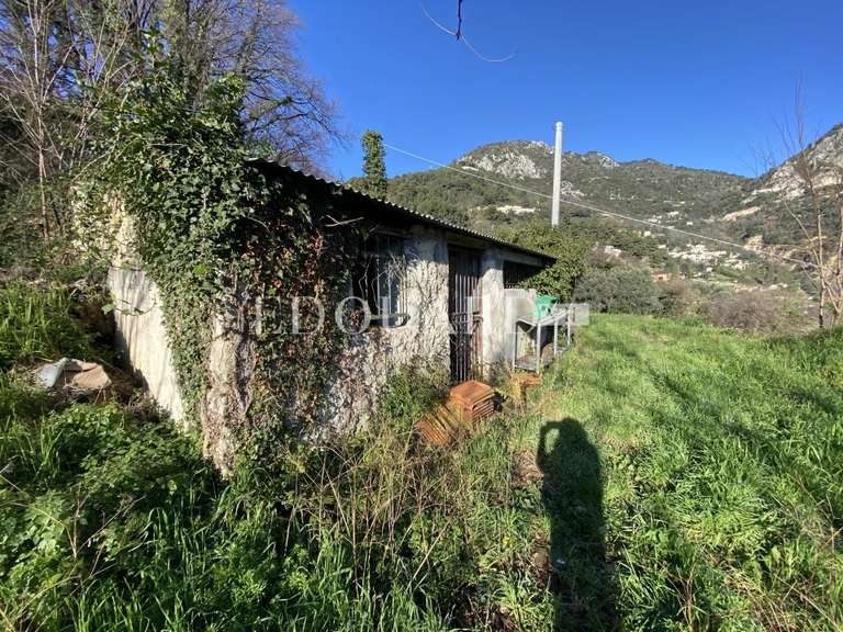 Terrain Sainte-Agnès - 8551m²