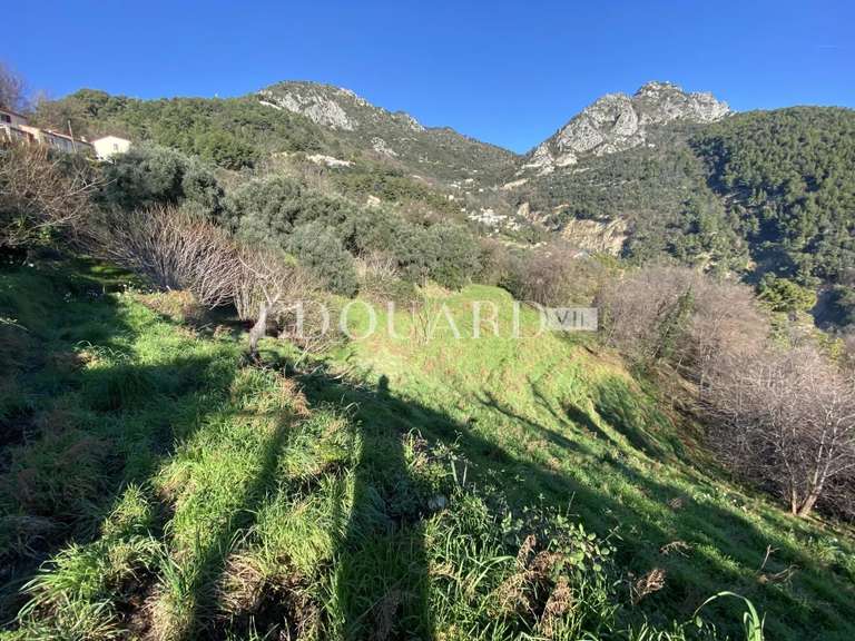 Terrain Sainte-Agnès - 8551m²
