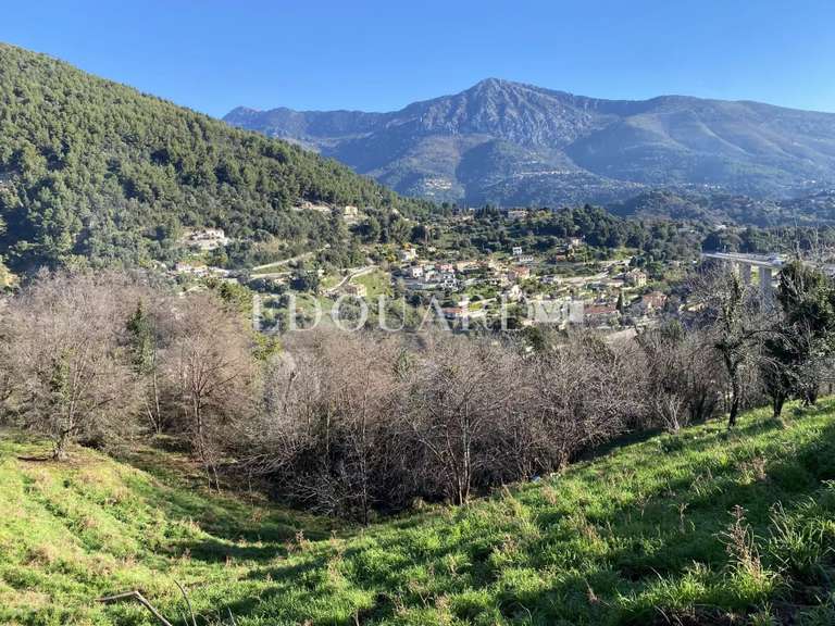 Terrain Sainte-Agnès - 8551m²