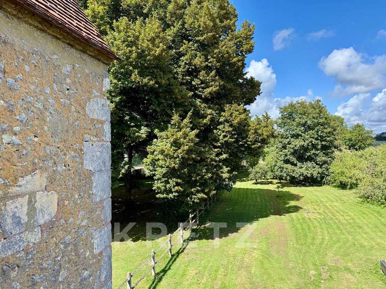 Manoir La Ferté-Bernard - 12 chambres - 850m²