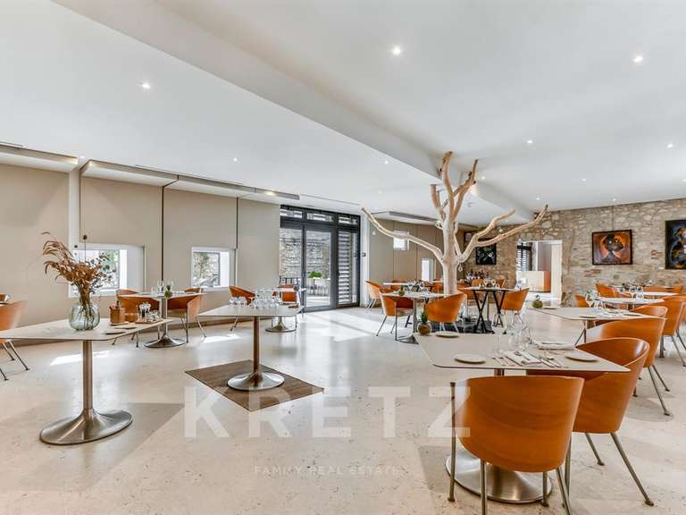 Château Cahuzac-sur-Vère - 18 chambres - 850m²