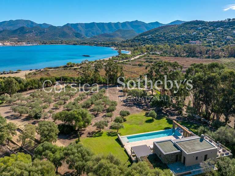 House Saint-Florent - 6 bedrooms - 500m²