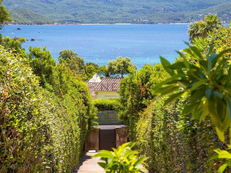 House with Sea view Pietrosella - 280m²