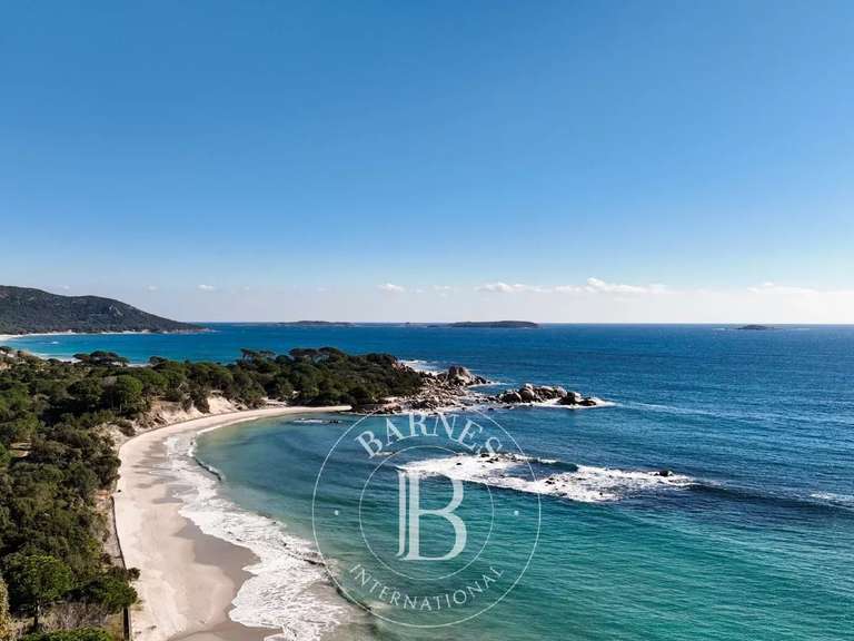 Villa Porto-Vecchio - 6 bedrooms - 350m²