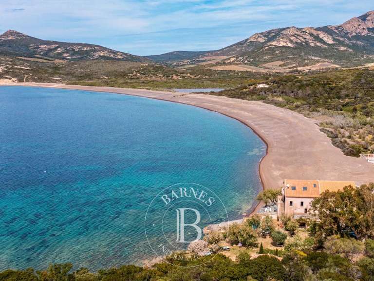 Villa Calvi - 8 bedrooms - 500m²