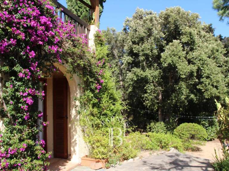 Villa Porto-Vecchio - 5 bedrooms - 250m²