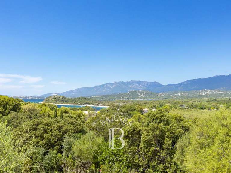 Villa with Sea view Lecci - 5 bedrooms - 270m²
