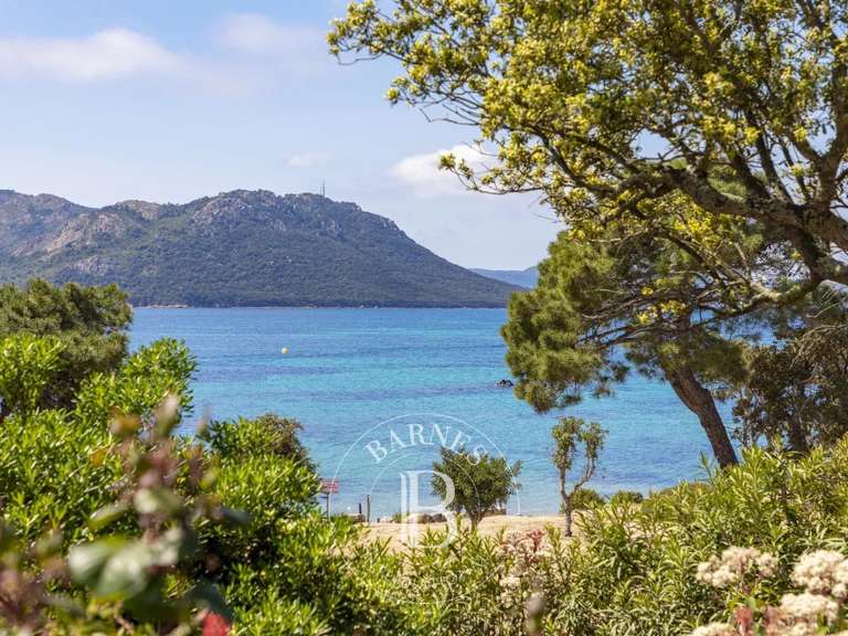 Villa Porto-Vecchio - 6 bedrooms - 220m²