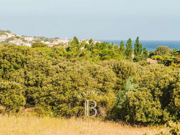 Villa L'Île-Rousse - 3 bedrooms - 120m²