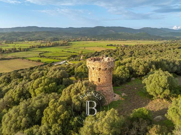 Villa Olmeto - 3 bedrooms