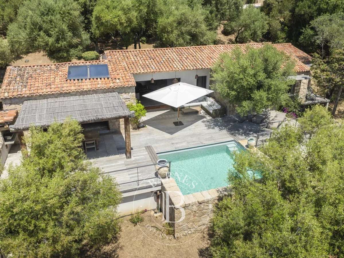 Villa Olmeto