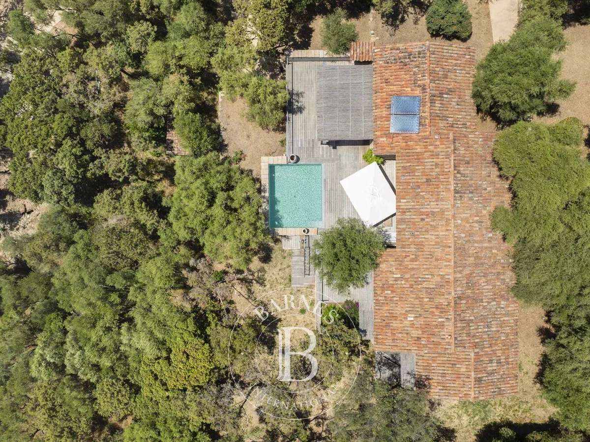 Villa Olmeto