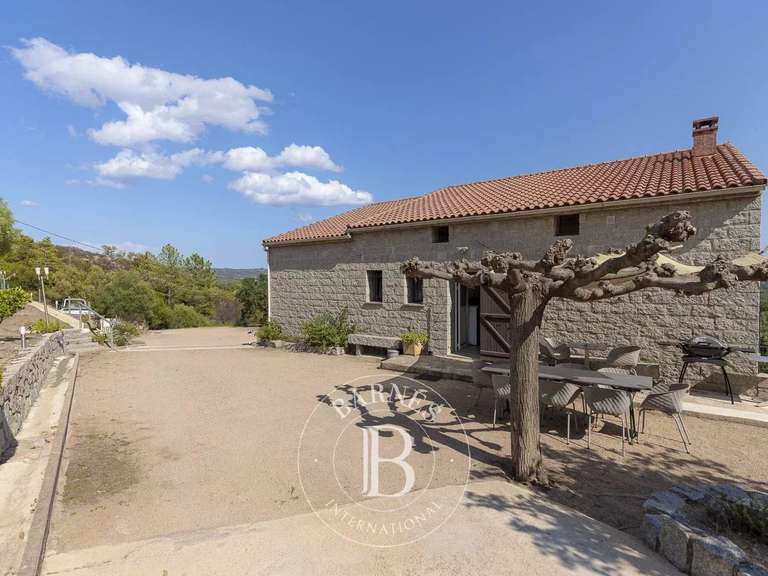 Villa Lecci - 7 chambres - 263m²