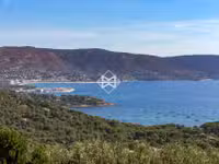 Location maison