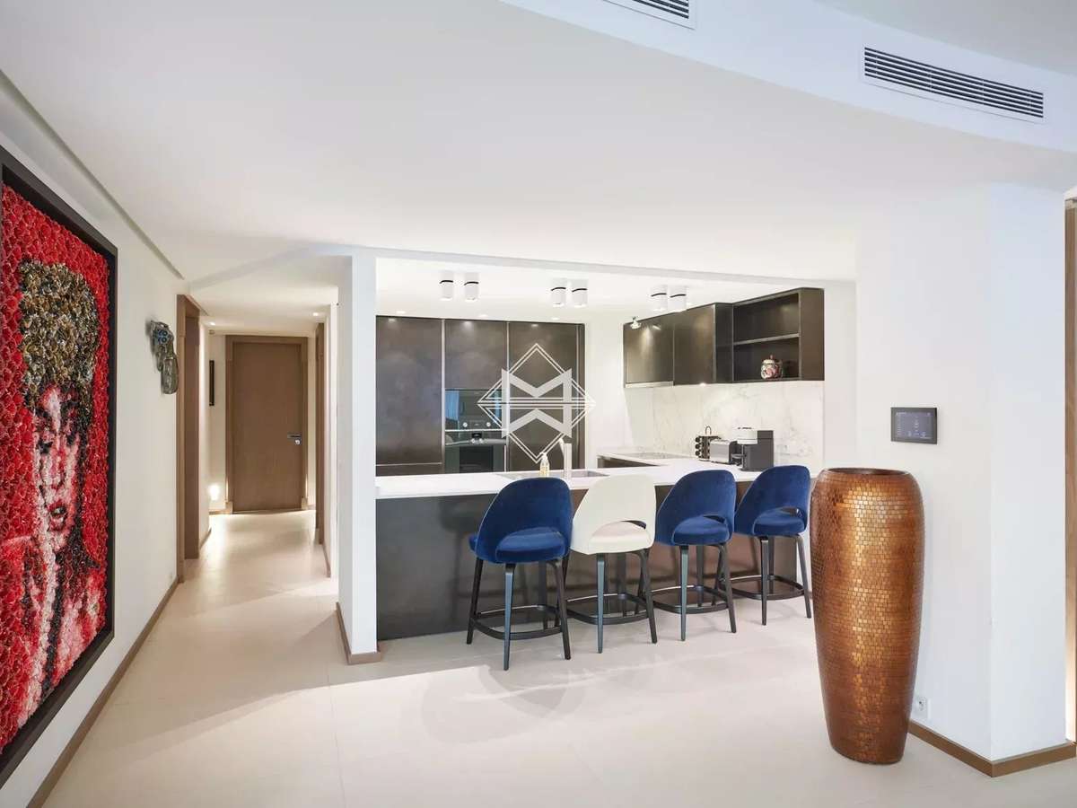 Apartment Cannes