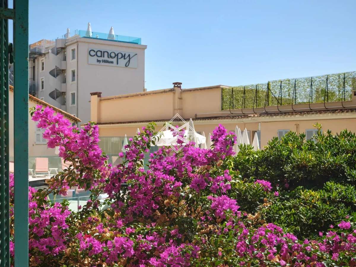 Apartment Cannes