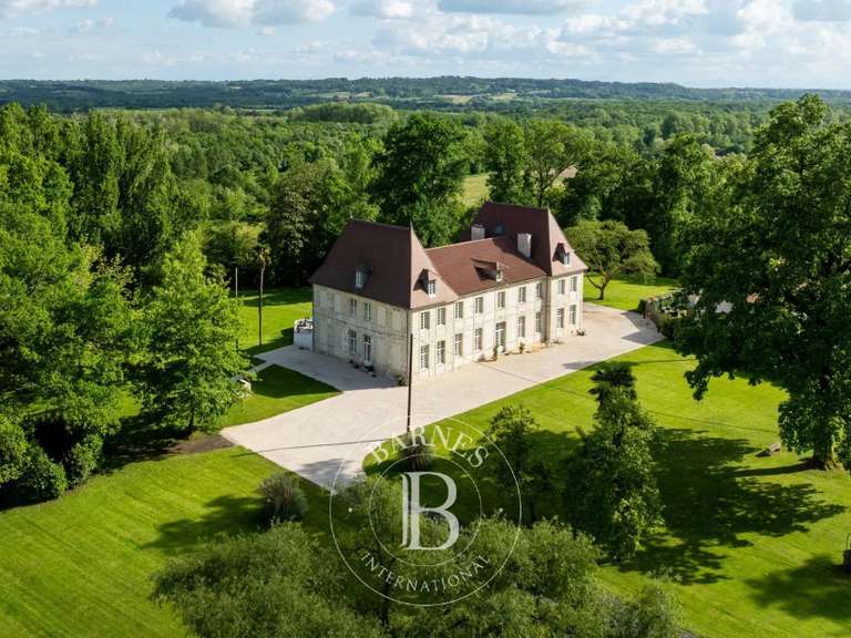 Castle Dax - 8 bedrooms - 650m²