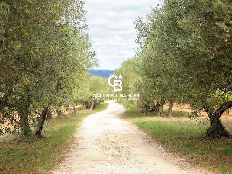 Domaine viticole Cuers - 7 chambres - 1100m²