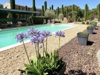 Vente maison 13 pièces