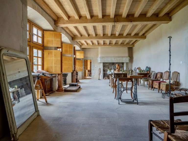 Château Joyeuse - 7 chambres - 550m²