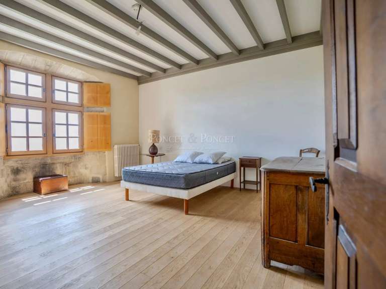 Château Joyeuse - 7 chambres - 550m²