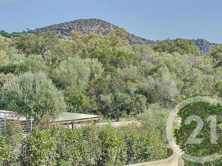 Maison Zonza - 2 chambres - 200m²