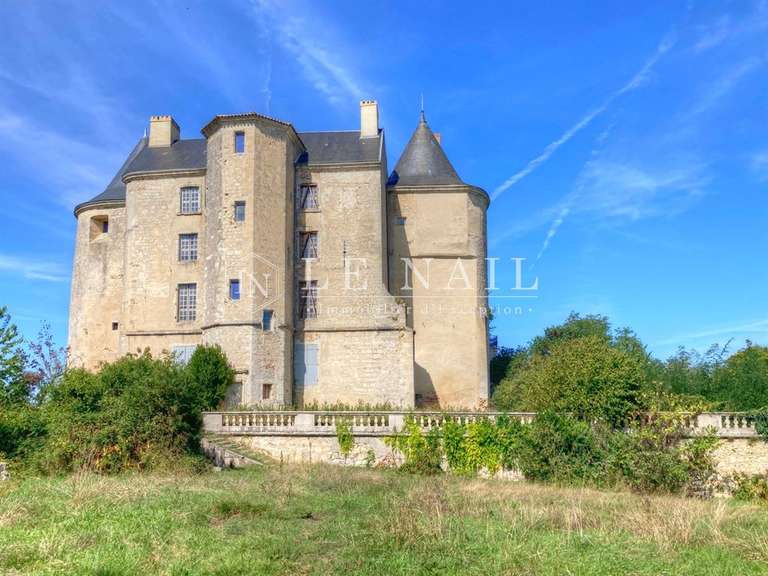 Château Agen - 12 chambres - 800m²