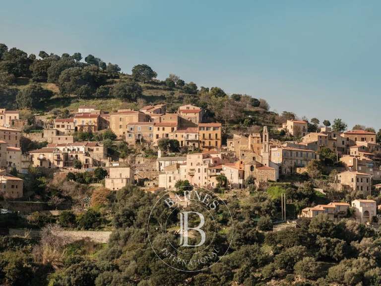 Terrain L'Île-Rousse - 4000m²
