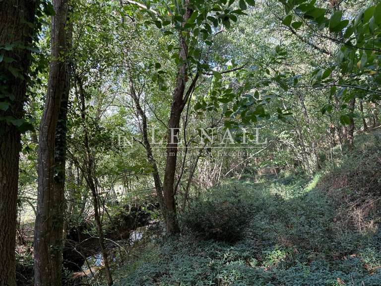 Terrain Château-Gontier - 265364m²