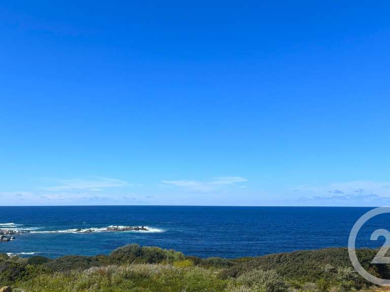 Maison Corbara - 5 chambres - 254m²