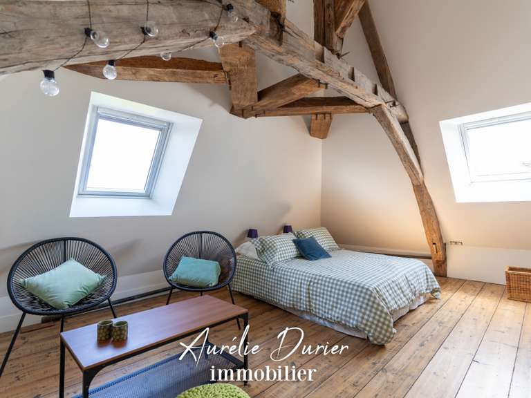 Maison Amboise - 7 chambres - 400m²