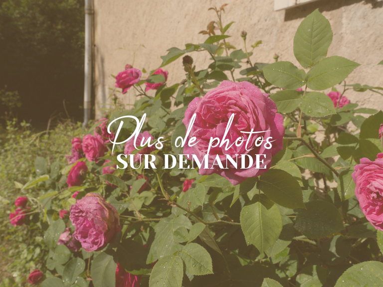 House Tours - 4 bedrooms - 295m²