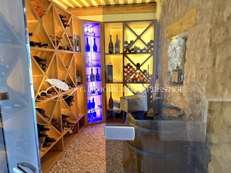 Maison Velleron - 5 chambres - 464m²