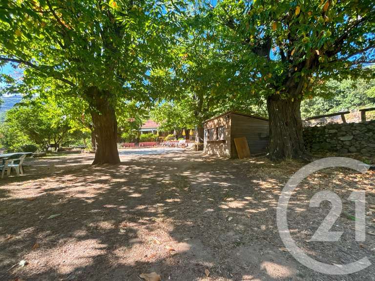 Maison Pioggiola - 5 chambres - 416m²